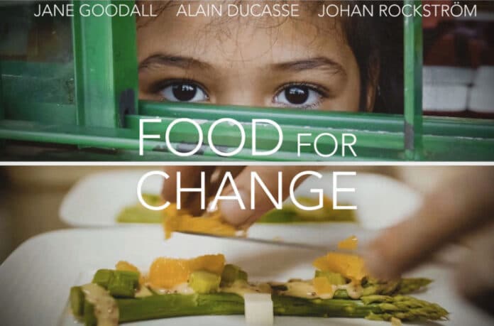 Food for Change recensione documentario di Benoît Bringer