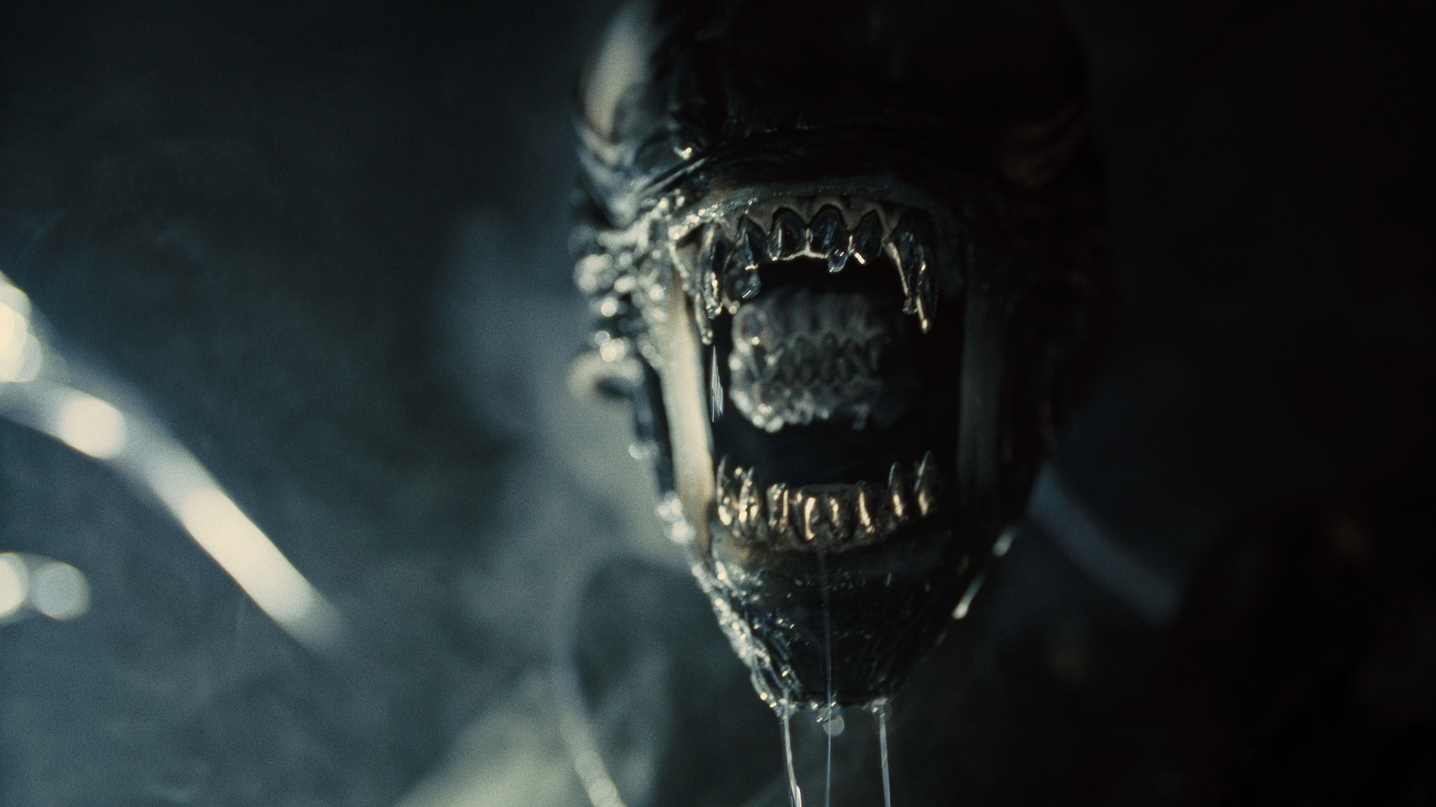 Alien: Romulus recensione film di Fede Alvarez (Credits: The Walt Disney Company)